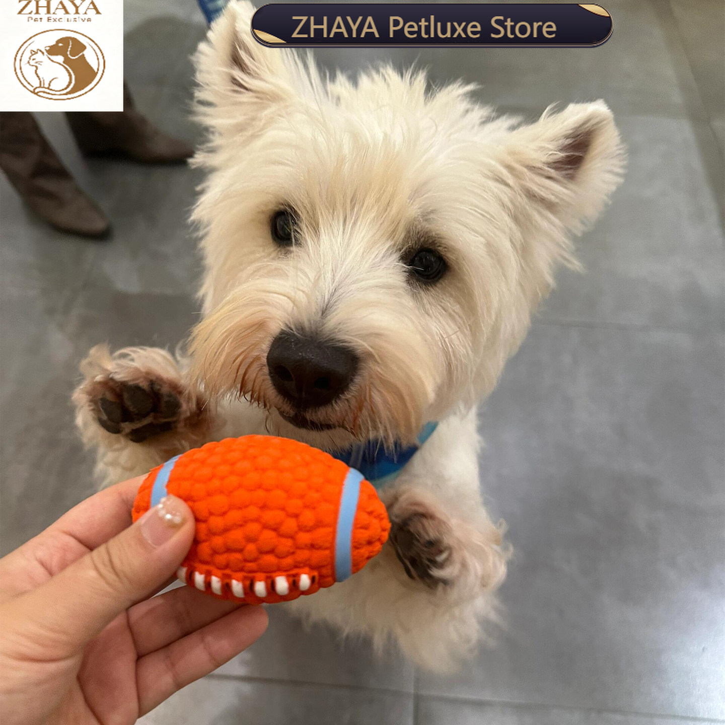 Rugby Training Ball - Pelota Interactiva Chirriante para Mascotas ZHAYA,